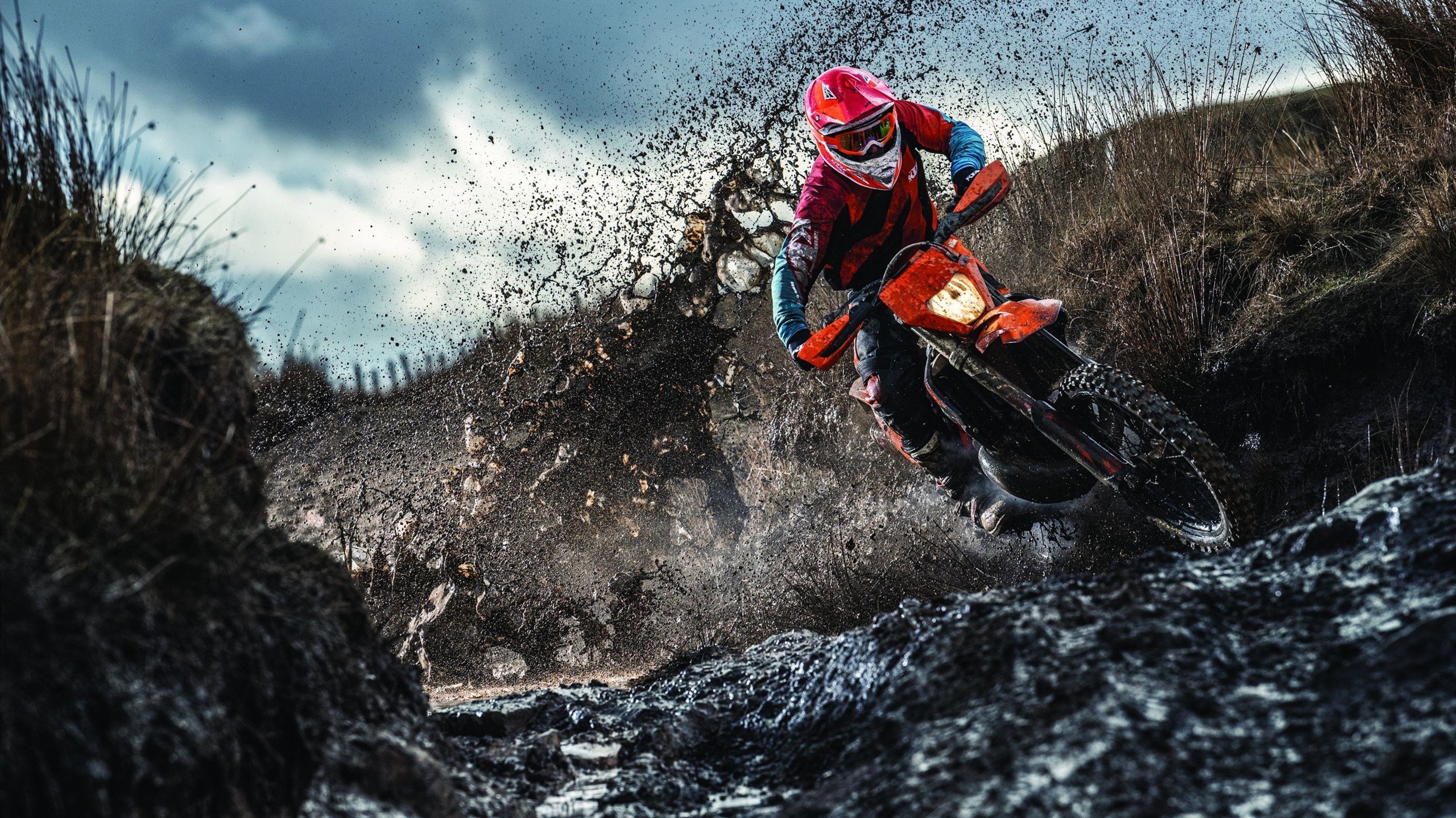 赛事中的“人气王”选择，粉丝投票揭晓，人气之王大挑战投票